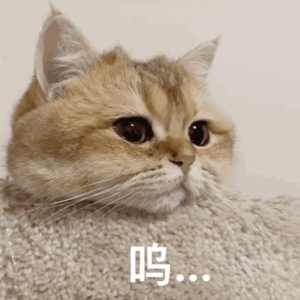 小咪儿仙儿骚麦原唱
